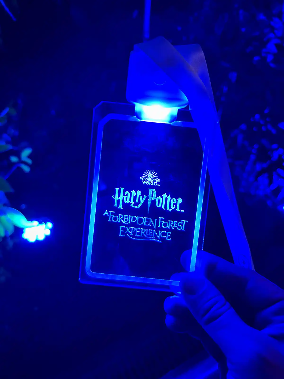 Harry Potter A Forbidden Forest Experience What you can expect at